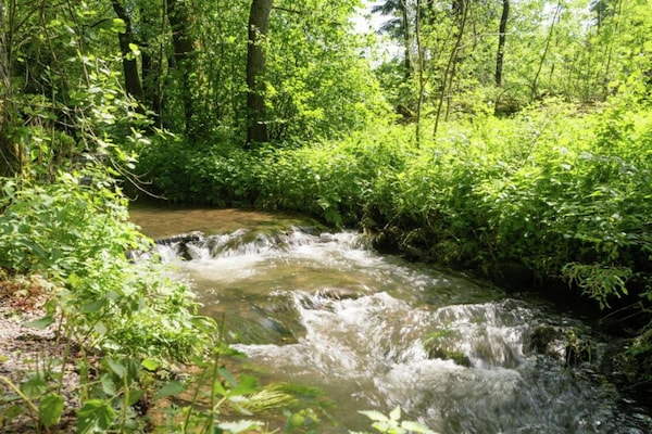 Foto van Ardennenverblijf voor 21 gasten - Vakantiehuis in Coo - AreaSummer20KM