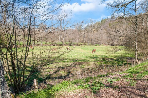 Foto van Gezellig verblijf op het platteland, Stoumont - Vakantiehuis in Stoumont - AreaSummer5KM