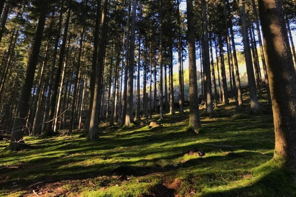 Foto van Gezellig verblijf op het platteland, Stoumont - Vakantiehuis in Stoumont - AreaSummer5KM