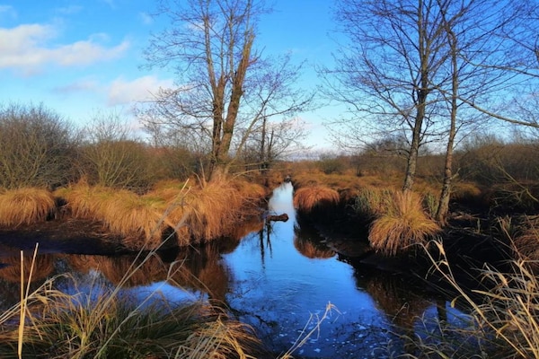 Foto van Chalet in België bij Ardennen - Vakantiehuis in Heure - AreaSummer20KM