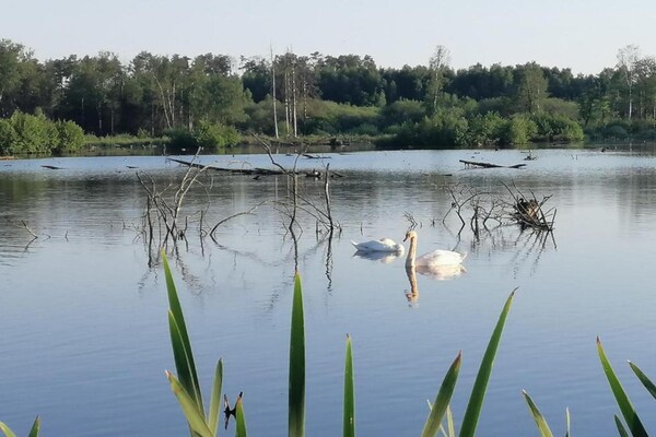 Foto van Chalet in België bij Ardennen - Vakantiehuis in Heure - AreaSummer20KM