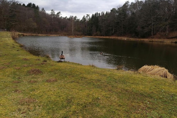 Foto van Chalet in België bij Ardennen - Vakantiehuis in Heure - AreaSummer20KM