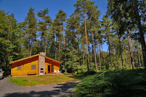 Foto van Chalet in Oignies met bosrijke omgeving - Vakantiehuis in Oignies en Thiérache - ExteriorSummer