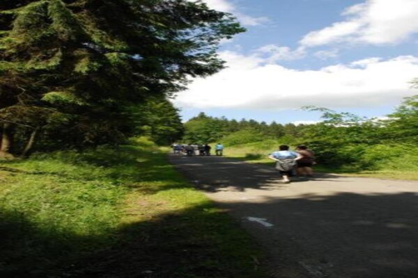 Foto van Afgelegen chalet in Rogery - Vakantiehuis in Rogery - AreaSummer20KM