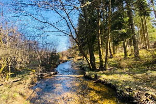 Foto van Natuuruitje in Martelange - Vakantiehuis in Martelange (radelange) - AreaSummer20KM