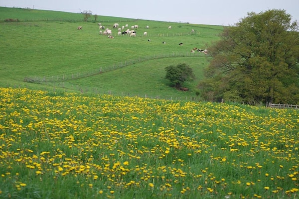 Foto van Vakantiehuis in Houffalize bij Nisramont - Vakantiehuis in Houffalize - AreaSummer20KM