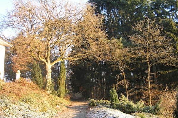 Foto van Natuurontsnapping in Bohon - Vakantiehuis in Bohon-Durbuy - GardenWinter