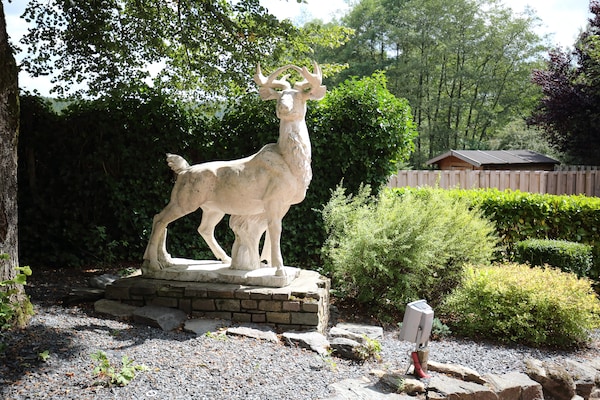 Foto van Gezellig chalet met panoramisch uitzicht - Vakantiehuis in Dochamps - ParkFacilities