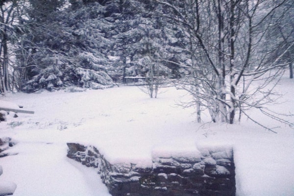 Foto van Schilderachtige glamping in de Ardennen - Vakantiehuis in Dochamps - AreaWinter5KM