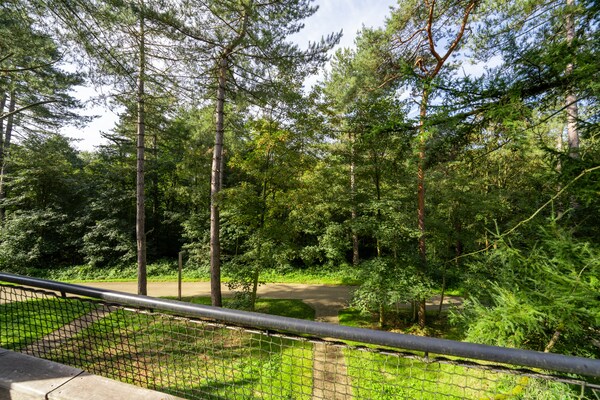 Foto van Haven met sauna en zwembad - Vakantiehuis in antoing - ViewSummer