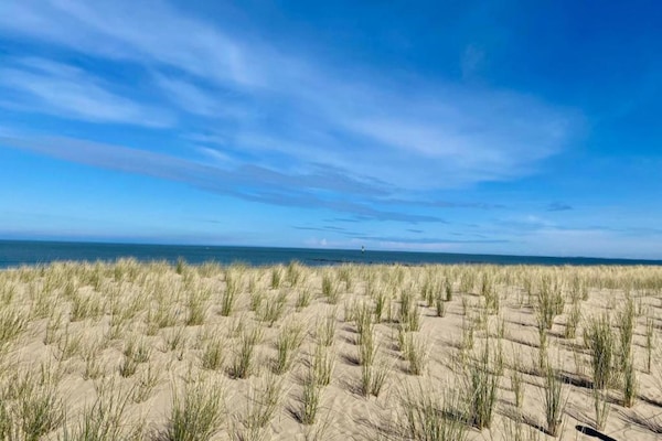 Foto van Strandvakantie in Knokke - Vakantiehuis in KNOKKE-HEIST - AreaSummer1KM