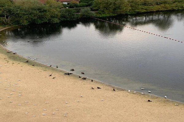 Foto van Appartement in Heist bij het Strand - Vakantiehuis in KNOKKE-HEIST - AreaSummer20KM