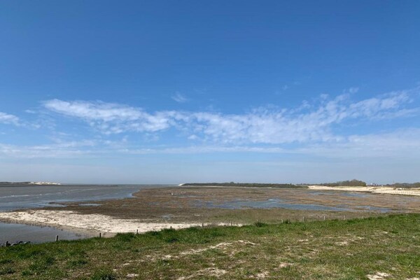 Foto van Appartement in België met ruime terrassen - Vakantiehuis in BLANKENBERGE - AreaSummer1KM