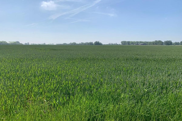 Foto van Appartement in Nieuwpoort vlakbij het strand - Vakantiehuis in Nieuwpoort - AreaSummer20KM