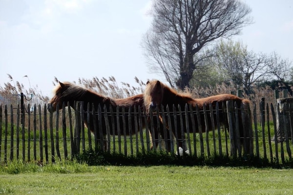 Foto van Appartement in Nieuwpoort vlakbij het strand - Vakantiehuis in Nieuwpoort - AreaSummer20KM