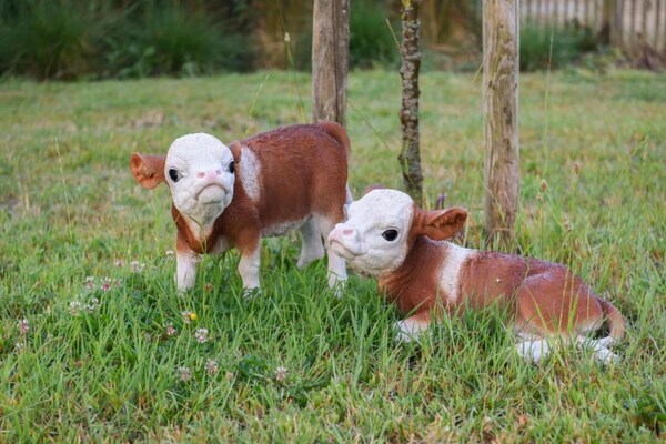 Foto van Appartement Nieuwpoort bij Strand en Haven - Vakantiehuis in Nieuwpoort - AreaSummer20KM