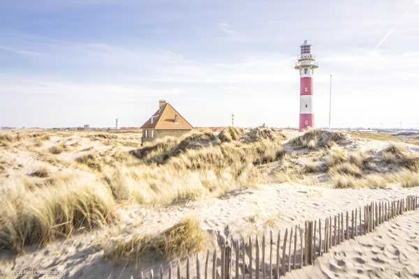 Foto van Appartement in Nieuwpoort aan het Strand - Vakantiehuis in Nieuwpoort - AreaSummer5KM