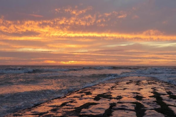 Foto van Appartement in Nieuwpoort met terras - Vakantiehuis in Nieuwpoort - AreaSummer20KM