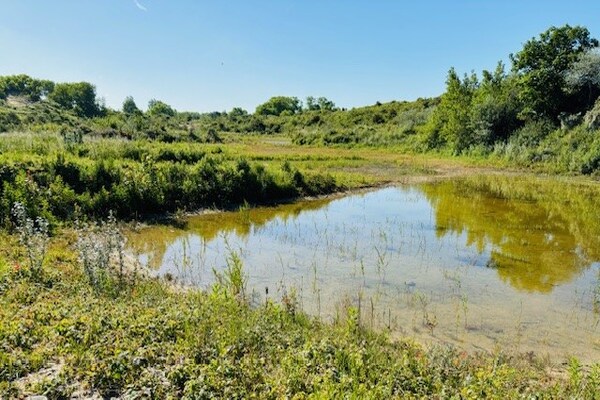 Foto van Ontspannend appartement aan het strand - Vakantiehuis in Nieuwpoort - AreaSummer1KM