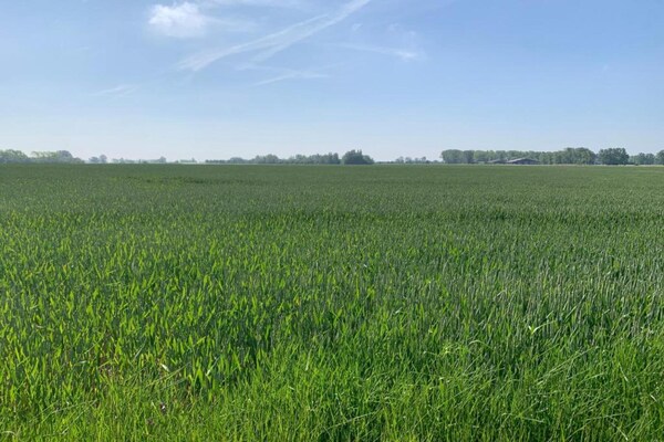 Foto van Ontspannend appartement aan het strand - Vakantiehuis in Nieuwpoort - AreaSummer20KM