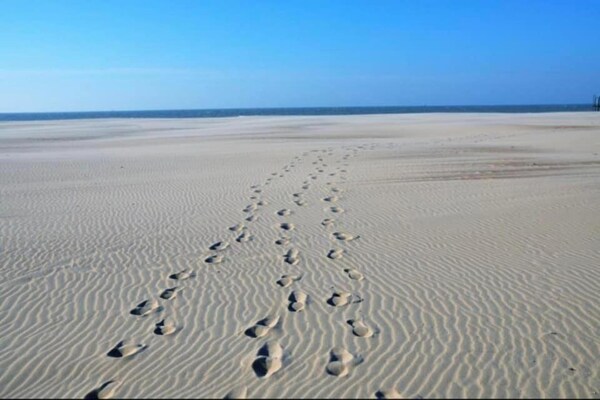 Foto van Ontspannend appartement aan het strand - Vakantiehuis in Nieuwpoort - AreaSummer20KM