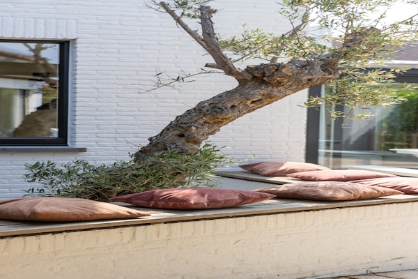 Foto van Verwarmd zwembad en toegang tot het strand - Vakantiehuis in Koksijde - GardenSummer