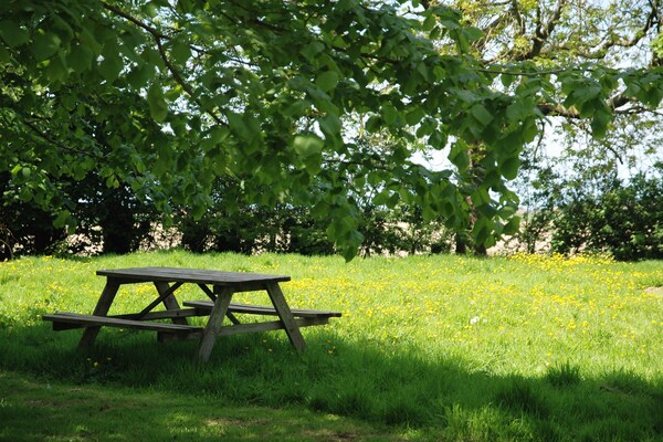 Foto van Vakantiehuis in Alveringem bij kust - Vakantiehuis in Leisele - TerraceBalcony