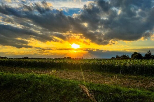 Foto van Vakantiehuis in Alveringem bij kust - Vakantiehuis in Leisele - AreaSummer5KM