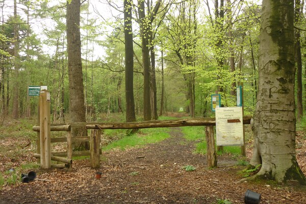 Foto van Landhuis in Kruiskerke bij bos en meer - Vakantiehuis in Kruiskerke - AreaSummer5KM