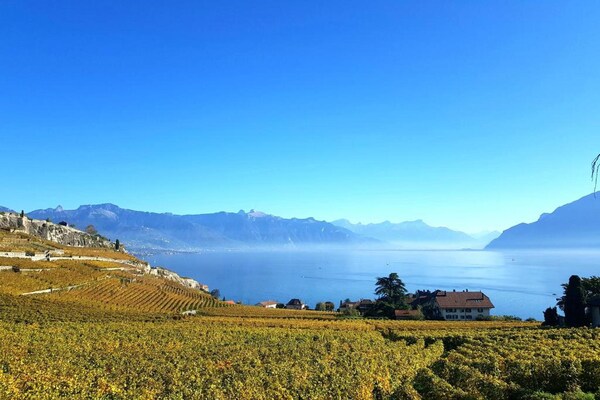 Foto van La Vigneronne, Tuin - Vakantiehuis in Chailly-Montreux - AreaSummer20KM