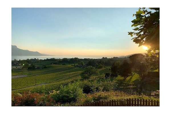 Foto van La Vigneronne, Tuin - Vakantiehuis in Chailly-Montreux - ViewSummer