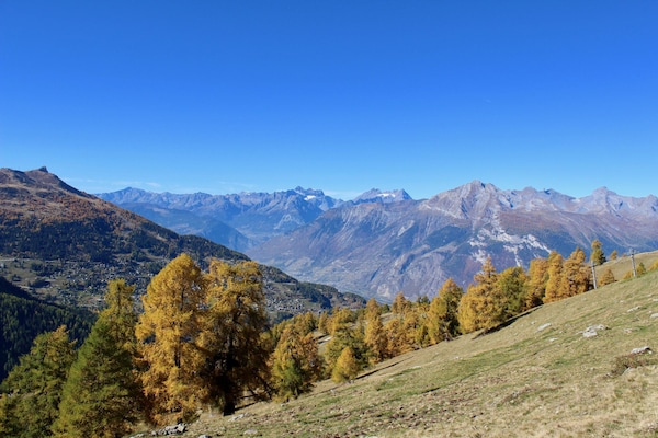 Foto van Appartement in de buurt van het dorpscentrum - Vakantiehuis in Haute-Nendaz - ViewSummer