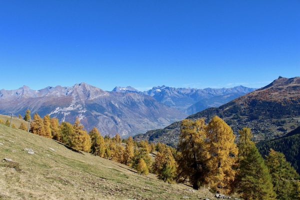 Foto van Appartement in de buurt van het dorpscentrum - Vakantiehuis in Haute-Nendaz - ViewSummer