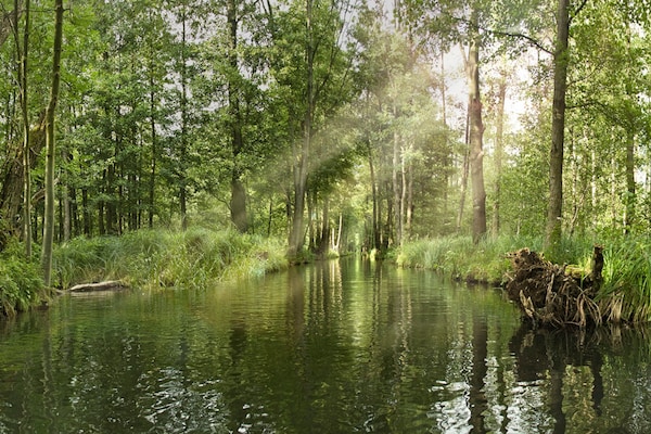 Foto van Appartementen met uitzicht op de Spree in Lübben - Vakantiehuis in Lübben - AreaSummer1KM