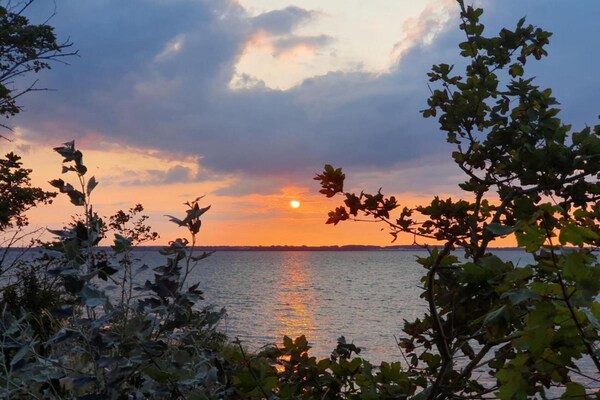 Foto van Ferienwohnung Sommerglück in Proseken - Vakantiehuis in Proseken - AreaSummer20KM