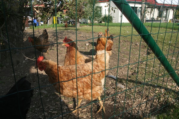 Foto van Villa Kägsdorf vlakbij het strand van de Oostzee - Vakantiehuis in Kägsdorf - GardenSummer