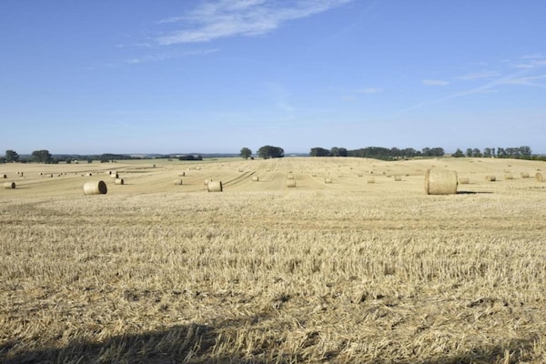 Foto van Mooi appartement in Krצpelin vlakbij de zee - Vakantiehuis in Kröpelin - AreaSummer5KM