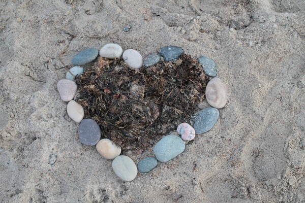 Foto van Mooi appartement in Krצpelin vlakbij de zee - Vakantiehuis in Kröpelin - Ambiance