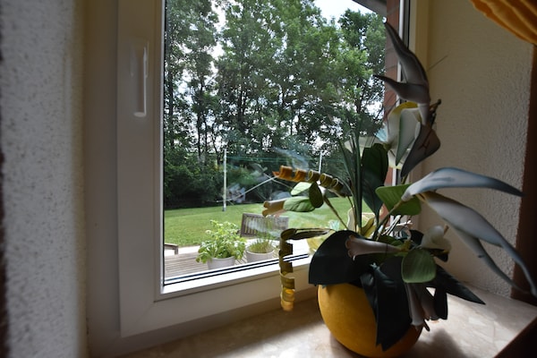 Foto van Vakantiehuis in Damshagen met sauna - Vakantiehuis in Klütz - Ambiance