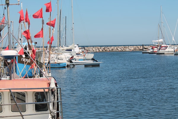 Foto van Bungalow Börgerende vlakbij strand en paardrijden - AreaSummer5KM