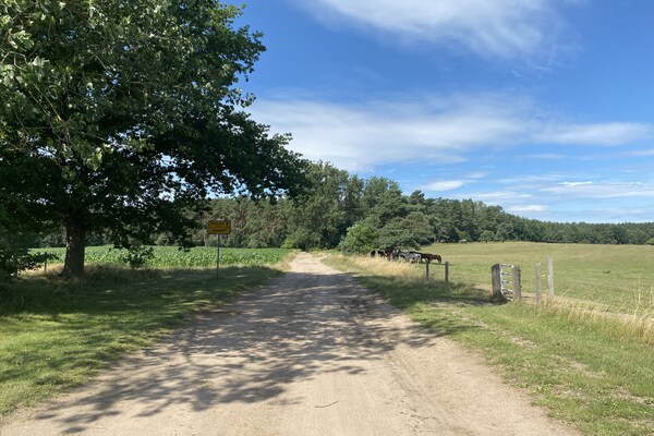 Foto van Vakantiehuis in Neu Poserin voor 5 personen - Vakantiehuis in Neu Poserin - AreaSummer1KM
