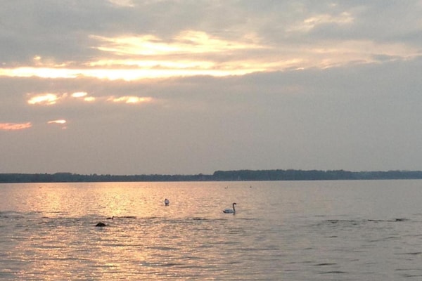 Foto van Kustappartement in Zierow - Vakantiehuis in Zierow - AreaSummer20KM
