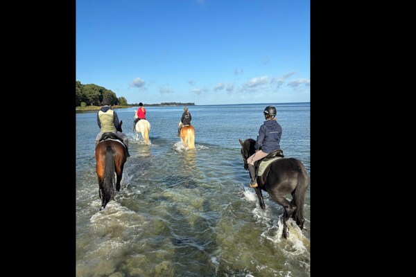Foto van Vakantiehuis in Zierow met tuin - Vakantiehuis in Zierow - AreaSummer5KM