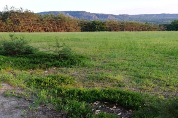 Foto van Comfort & Natuur Ontsnapping - Vakantiehuis in Lichtenhain - AreaSummer5KM