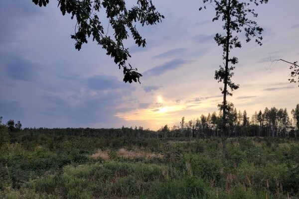 Foto van Natuurontsnapping in Meisdorf - Vakantiehuis in Meisdorf - AreaSummer5KM