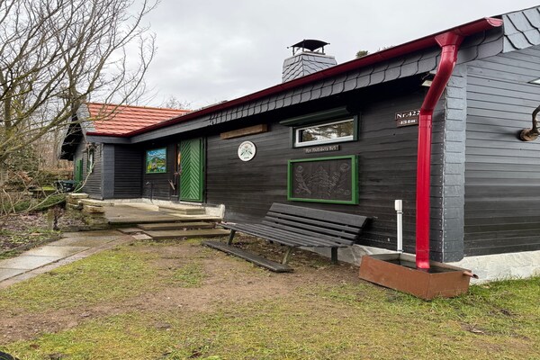 Foto van Idyllisch huis in de Harz - Vakantiehuis in Harzgerode - ExteriorSummer
