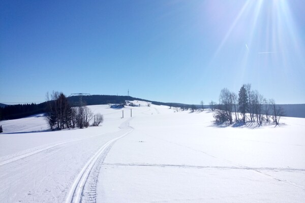 Foto van Gezellige skibasis met tuin - Vakantiehuis in Breitenbrunn ot Rittersgrün - AreaWinter5KM