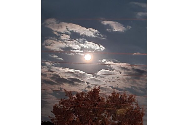 Foto van in de Bauernsee Moderne retraite - Vakantiehuis in Grünheide OT Kagel - Untagged