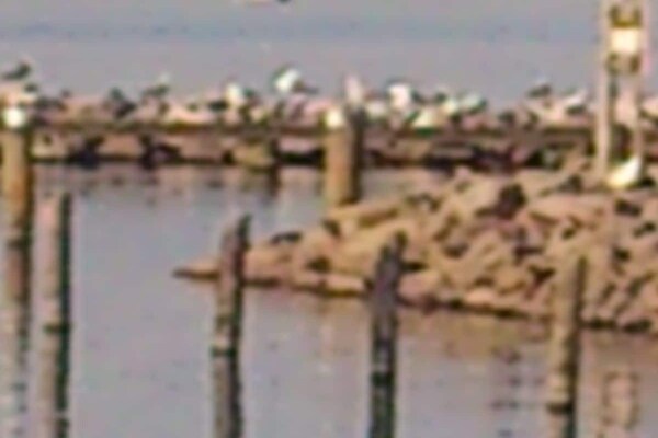 Foto van Fijne comfortabele vakantiewoning - Vakantiehuis in Röbel\/Müritz - Untagged