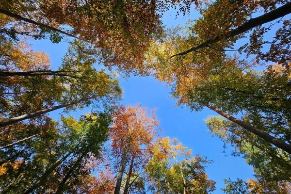 Foto van Geweldig appartement in het merengebied - Vakantiehuis in Rechlin - AreaSummer20KM